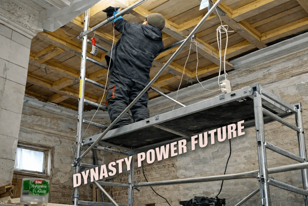 renovare interioară – dynasty power future srl