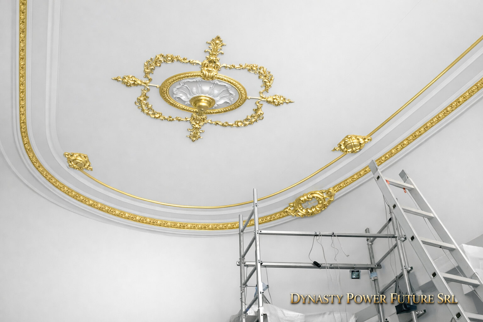tavan alb satinat cu ornamente aurii rece dynasty power future srl.jpg